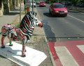 Kezdődik a Zebrafest kampány